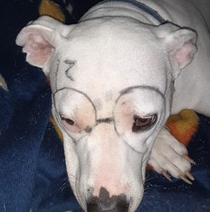 Meet your Posher, Jack